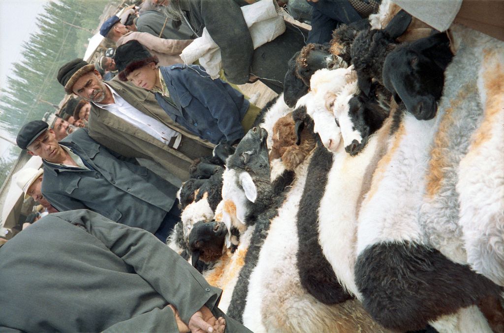 56 Kashgar Sunday Market 1993 Sheep In Animal Market